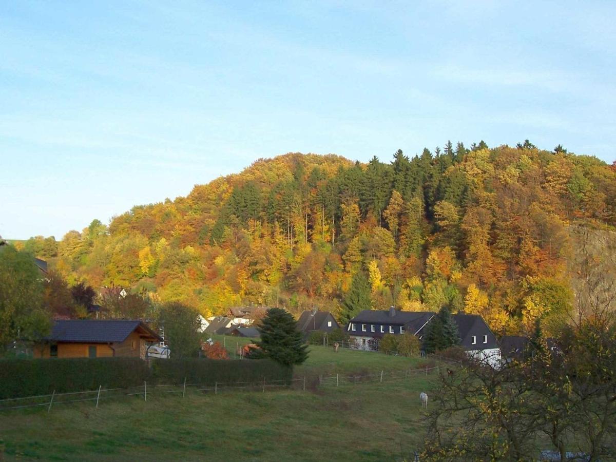 Serene Apartment Near Ski Area In Hesborn Buitenkant foto